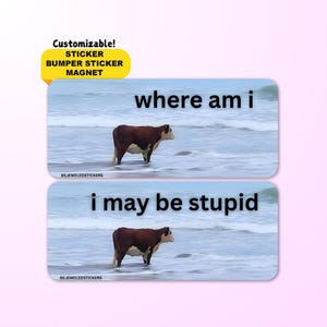 Where Am I / I May Be Stupid | Funny Customizable Cow Meme Sticker, Bumper Sticker, Magnet | Waterproof premium vinyl | Gen Z Humor Gift