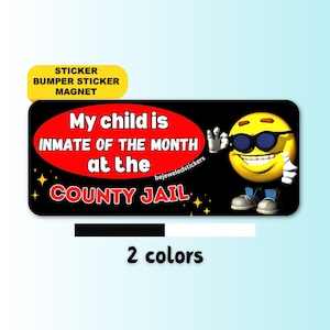My Child Is Inmate Of The Month At The County Jail | Funny Gen Z Meme Sticker, Bumper Sticker, Magnet & Bumper Magnet Gift