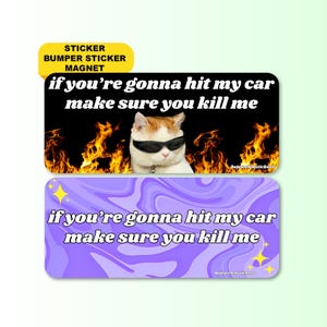 If You&#39;re Gonna Hit My Car Make Sure You Kill Me | Funny Unhinged Meme Gen Z Car Sticker, Bumper Sticker, Magnet | Waterproof Premium Vinyl