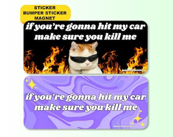 If You're Gonna Hit My Car Make Sure You Kill Me | Funny Unhinged Meme Gen Z Car Sticker, Bumper Sticker, Magnet | Waterproof Premium Vinyl