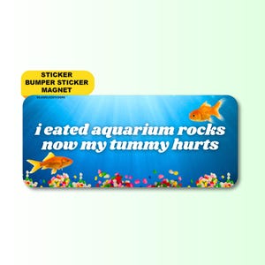 I Eated Aquarium Rocks, Now My Tummy Hurts | Funny Meme Sticker, Waterproof Car Bumper Sticker, Magnet & Bumper Magnet – Gen Z Humor Gift