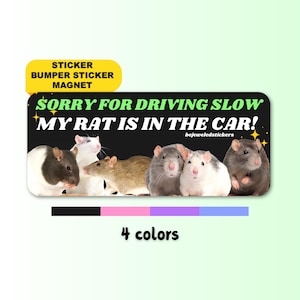 Sorry for driving slow, my rat is in the car! Funny meme Gen z Sticker, Bumper Sticker, Magnet and Bumper Magnet