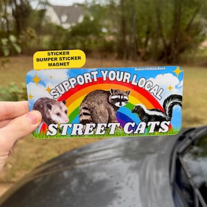 May include: A rectangular bumper sticker magnet featuring a colourful rainbow background with illustrations of an opossum, a raccoon, and a skunk. The text reads SUPPORT YOUR LOCAL STREET CATS in bold white letters with a black outline.