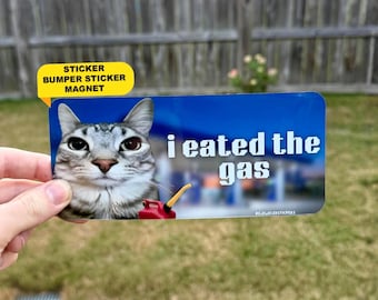 I Eated The Gas | Funny Cat Meme Sticker, Waterproof Vinyl Bumper Sticker, Car Magnet & Bumper Magnet | Gen Z Unhinged Driving Car Decal