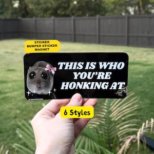 May include: A rectangular black bumper sticker or magnet featuring a graphic of a grey animal with large black eyes and a small pink bow on its head. The text reads, THIS IS WHO YOU'RE HONKING AT, in white capital letters with a subtle drop shadow.