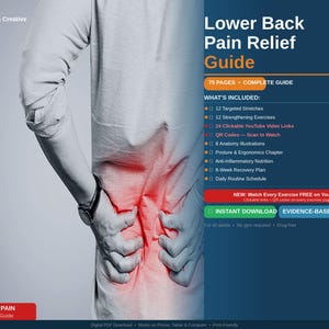 Lower Back Pain Relief Guide | Stretches, Exercises, Posture (PDF Download)