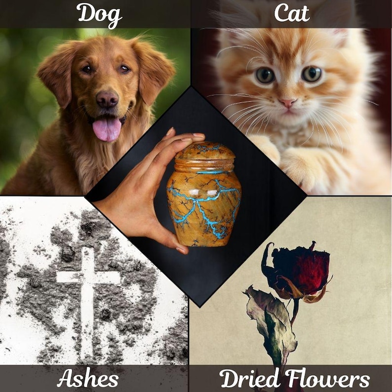May include: A collage of images depicting pet loss and remembrance. The top left image shows a golden retriever dog. The top right image shows a ginger cat. The bottom left image shows a cross drawn in ashes. The bottom right image shows a dried red rose. The center image shows a wooden urn with blue and brown swirls.