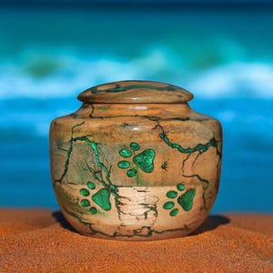 Può includere: Un'urna in legno con un design a forma di impronta di zampa verde. L'urna è realizzata in legno con una finitura naturale e ha un coperchio. L'urna è appoggiata su una superficie sabbiosa.