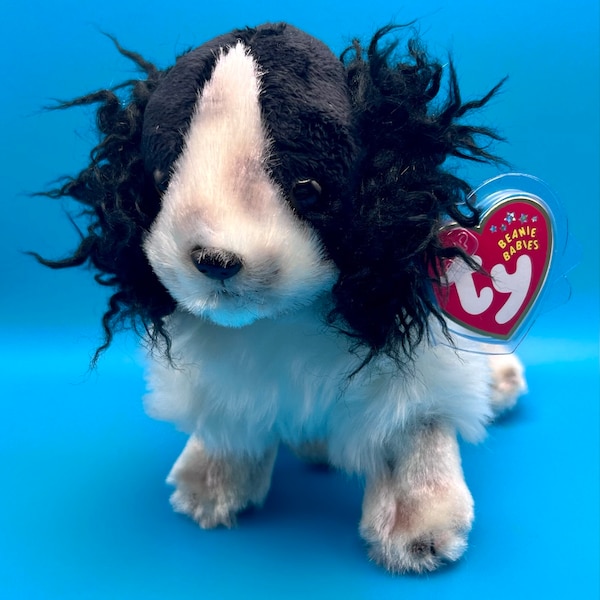 TY Beanie Baby - FROLIC the Spaniel Hund (16 cm)