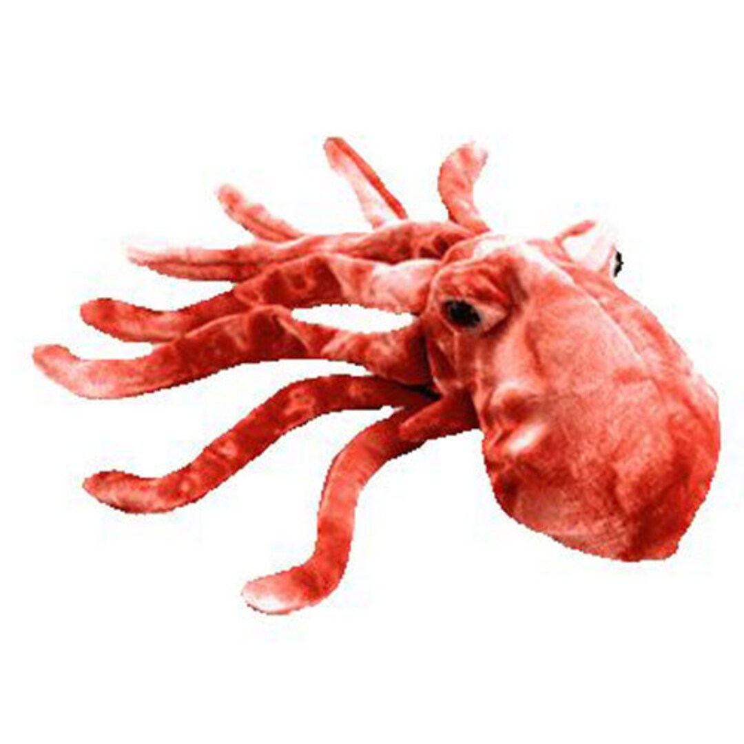 TY ビーニーベイビー - WIGGLY タコ (8.5 インチ) - Etsy 日本