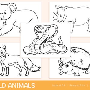 42 Printable Wild Animals Coloring Pages for Kids, Colouring Book, Pictures, Party Activity - A4 and US Letter image 2