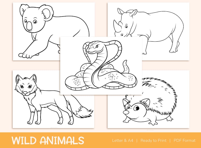 42 Printable Wild Animals Coloring Pages for Kids, Colouring Book, Pictures, Party Activity - A4 and US Letter image 2