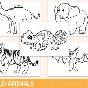 42 Printable Wild Animals Coloring Pages for Kids, Colouring Book, Pictures, Party Activity - A4 and US Letter image 4