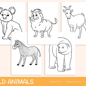 42 Printable Wild Animals Coloring Pages for Kids, Colouring Book, Pictures, Party Activity - A4 and US Letter image 8