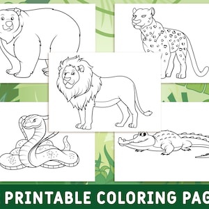 42 Printable Wild Animals Coloring Pages for Kids, Colouring Book, Pictures, Party Activity