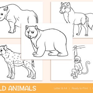 42 Printable Wild Animals Coloring Pages for Kids, Colouring Book, Pictures, Party Activity - A4 and US Letter image 7