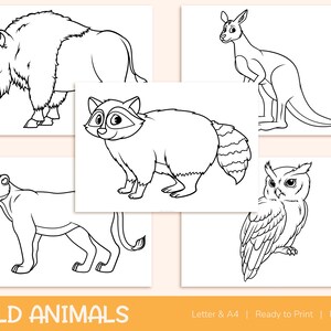 42 Printable Wild Animals Coloring Pages for Kids, Colouring Book, Pictures, Party Activity - A4 and US Letter image 6