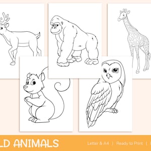 42 Printable Wild Animals Coloring Pages for Kids, Colouring Book, Pictures, Party Activity - A4 and US Letter image 5