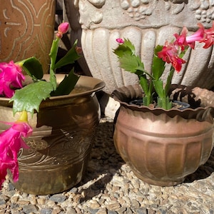 Vintage Brass Pots – Set of 2 | Engraved Floral & Scalloped Edge Decorative Planters