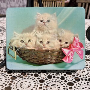 May include: A rectangular metal tin featuring a printed image of four fluffy cream-coloured kittens sitting inside a woven brown basket. A bright pink satin ribbon bow is attached to the side of the basket, set against a light blue background.