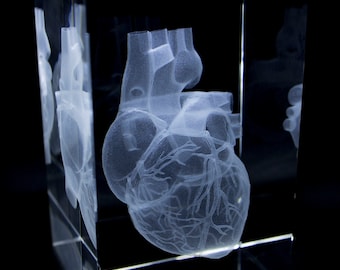 Anatomie model menselijk Hart - 3D glazen blok - verpleegkundige cadeau/ dokter cadeau/ geneeskunde cadeau - presse papier glas