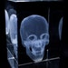 see more listings in the 3D anatomy model glass section