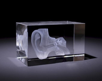 Anatomiemodell des Ohrs im 3D-Glasblock - Arztgeschenk / Arztgeschenk / Medizingeschenk - Krankenschwestergeschenk - Briefbeschwerer