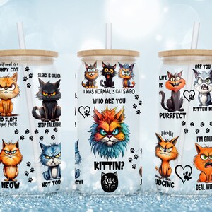 May include: Three clear glass tumblers with wooden lids and straws. Each tumbler features a different humorous cat design with text. The first tumbler has a grumpy orange cat with the text "I spirit animal is a grumpy cat" and "Who slaps annoying people". The second tumbler has a black cat with the text "Silence is golden" and "Stop talking!". The third tumbler has a colorful cat with the text "I was normal 3 cats ago" and "Who are you? Kittin?"