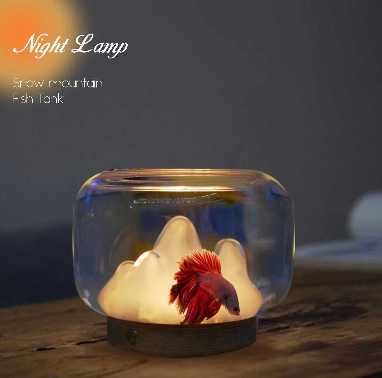 Fish Tank Lava Lamp Etsy UK