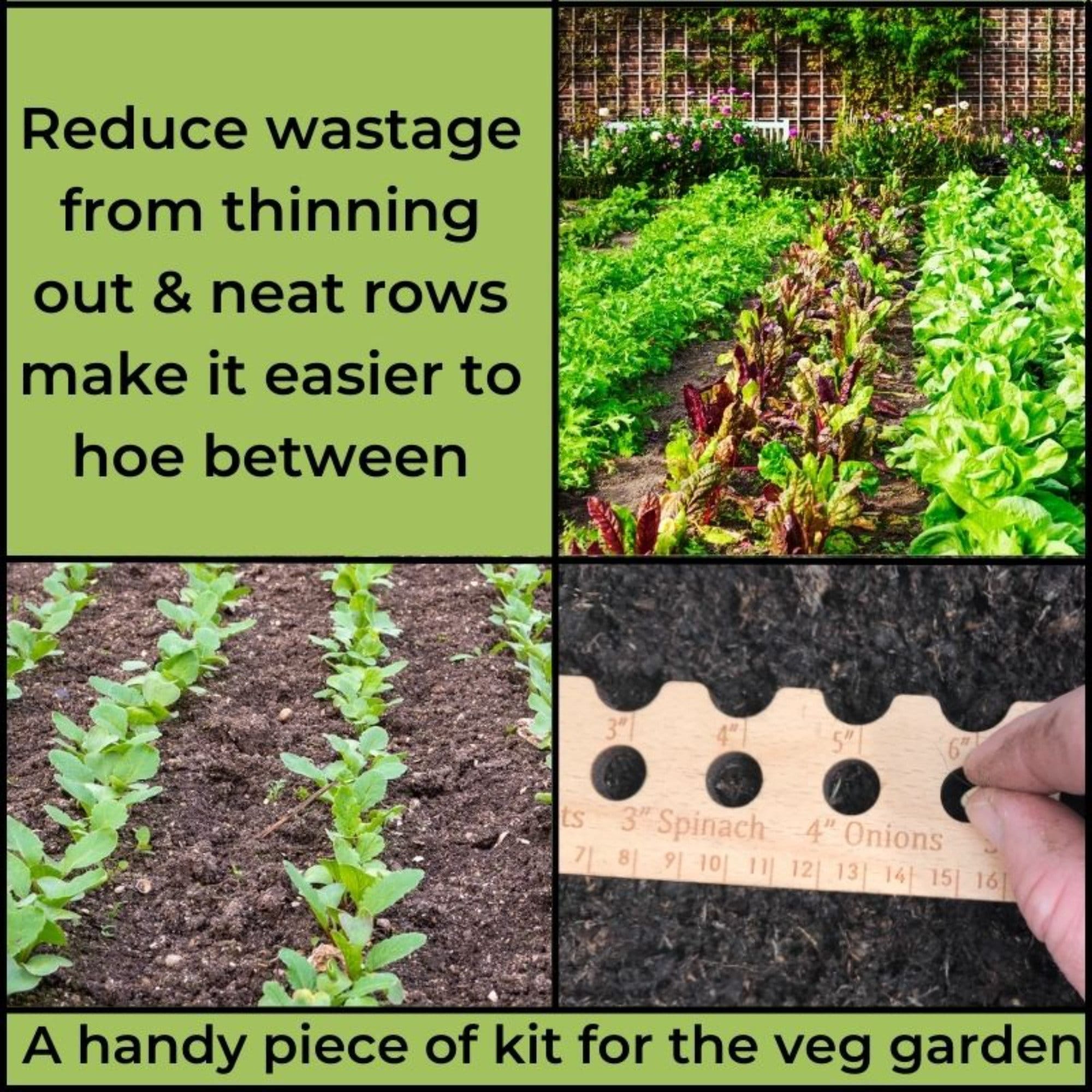 Planting Ruler Wooden Sowing Plant Seed Spacer Garden Gardener Gift Box ...