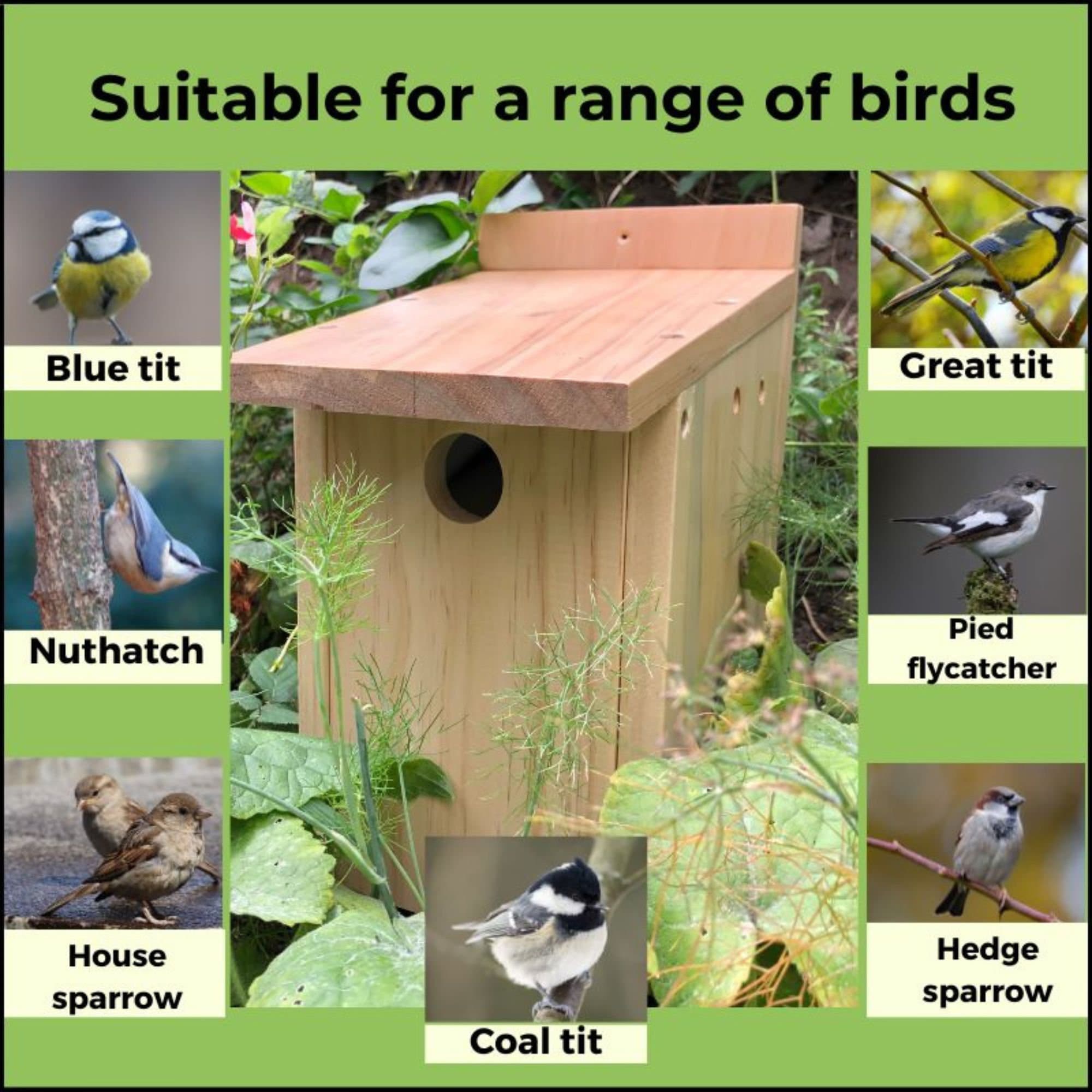 Build Your Own Bird Box Set DIY Kit Birds House Gift Wood for Children