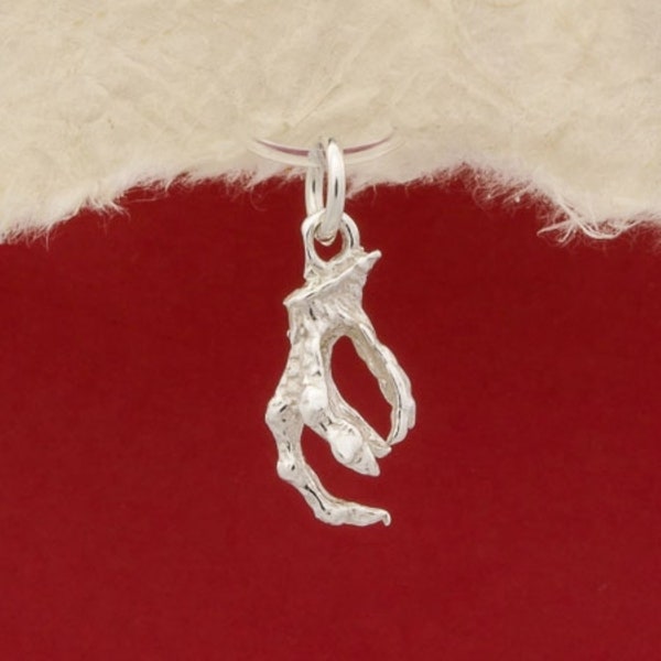 Eagle Claw Silver Pendant, Bird Claw Necklace, Sterling 925 Silver Talon Pendant,  Animal Claw Pendant, Hawk Claw Jewelry