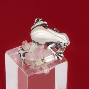Può includere: Anello a forma di rana in argento, con dettagli minuziosi, esposto su un blocco di acrilico trasparente su sfondo rosso. La rana è in posizione accovacciata, mostrando le zampe e la pelle strutturata. Un gioiello unico.