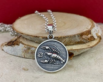 Kreeft Zilveren Hanger, Kreeft Ketting, Sterling 925 Zilveren Charme Sterrenbeeld Kreeft, Astrologie Ketting, Horoscoop Ketting, Kreeft Gift