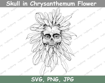 Skull in Chrysanthemum Flower Line drawing, Digital Downloads, skull svg,  flower svg, Skull Art, Tattoo Design, Tshirt Design JPG, PNG, SVG