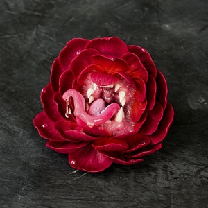 ブローチペンダント 肉食性の歯のある花の捕食者、日の出牡丹