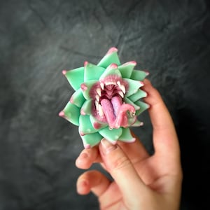 ブローチペンダントマグカップ肉食歯のある花の捕食者