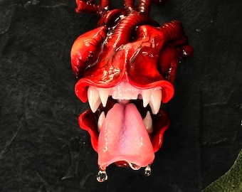 Valentin’s day gift Brooch carnivorous anatomical heart