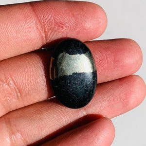 May include: A black and gold oval-shaped gemstone with a smooth, polished surface.