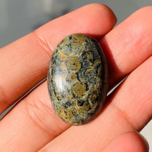 Natural Star Galaxy Jasper Cabochon: Polished Oval Gemstone (29x19x7mm)