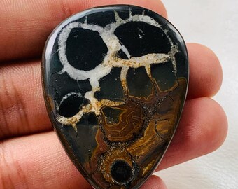 May include: A teardrop-shaped gemstone with a striking pattern. The stone features a black base with white and tan-colored veining, creating a unique, organic design. The polished surface reflects light, highlighting the intricate details of the natural stone.