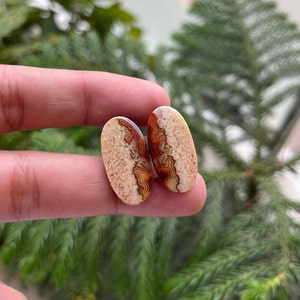 Natural Lace Agate Cabochon Pair: Oval Gemstone Jewelry (24x12x3 MM)