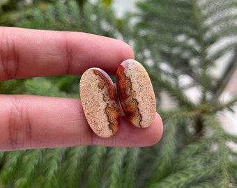 Par de Cabochões de Ágata com Renda Natural: Joia Oval com Pedras Preciosas (24x12x3 MM)