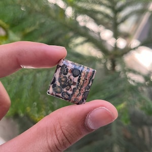 Erstklassige Qualität Leopard Haut Jaspis, Leopard Haut Jaspis Halbedelstein, Leopard Haut Jaspis Hand poliert Edelstein, 20x20x5 MM