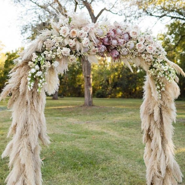 50 pcs  Pampas Grass | WHOLESALE | Wedding Arch Flowers | Boho Wedding Decor | Dried Flower  | Flower Arch | 2ft Pampas | Pampas Wall Decor