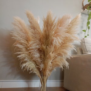 XXL TALL PAMPAS Grass 1-1,5m Großer Verkauf Boho Wohndekor Hochzeitsdekorationen Pampas Blumenstrauß Blumenarrangement Boho Hochzeit Bild 1