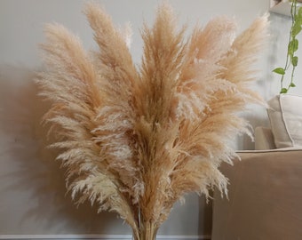 XXL TALL PAMPAS Grass 3-4ft / Grand Sale / Boho Home Decor / Decorazioni di nozze / Pampas Bouquet / Disposizione floreale / Matrimonio Boho