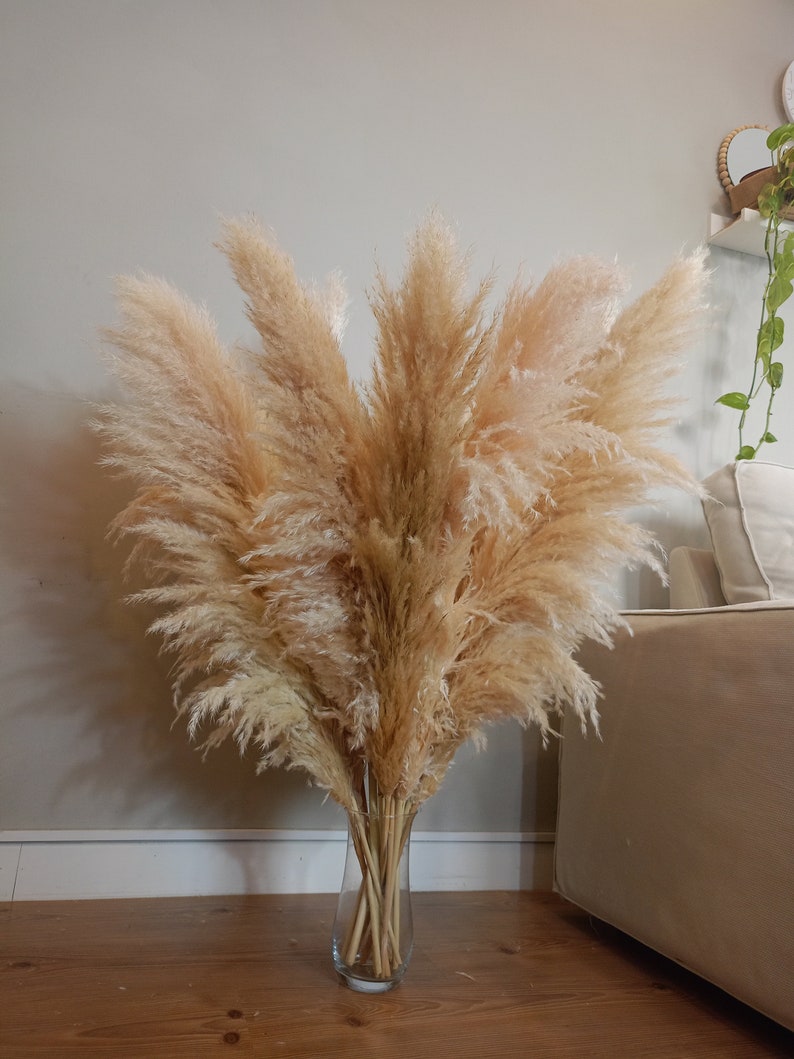 XXL TALL PAMPAS Grass 1-1,5m Großer Verkauf Boho Wohndekor Hochzeitsdekorationen Pampas Blumenstrauß Blumenarrangement Boho Hochzeit Bild 1