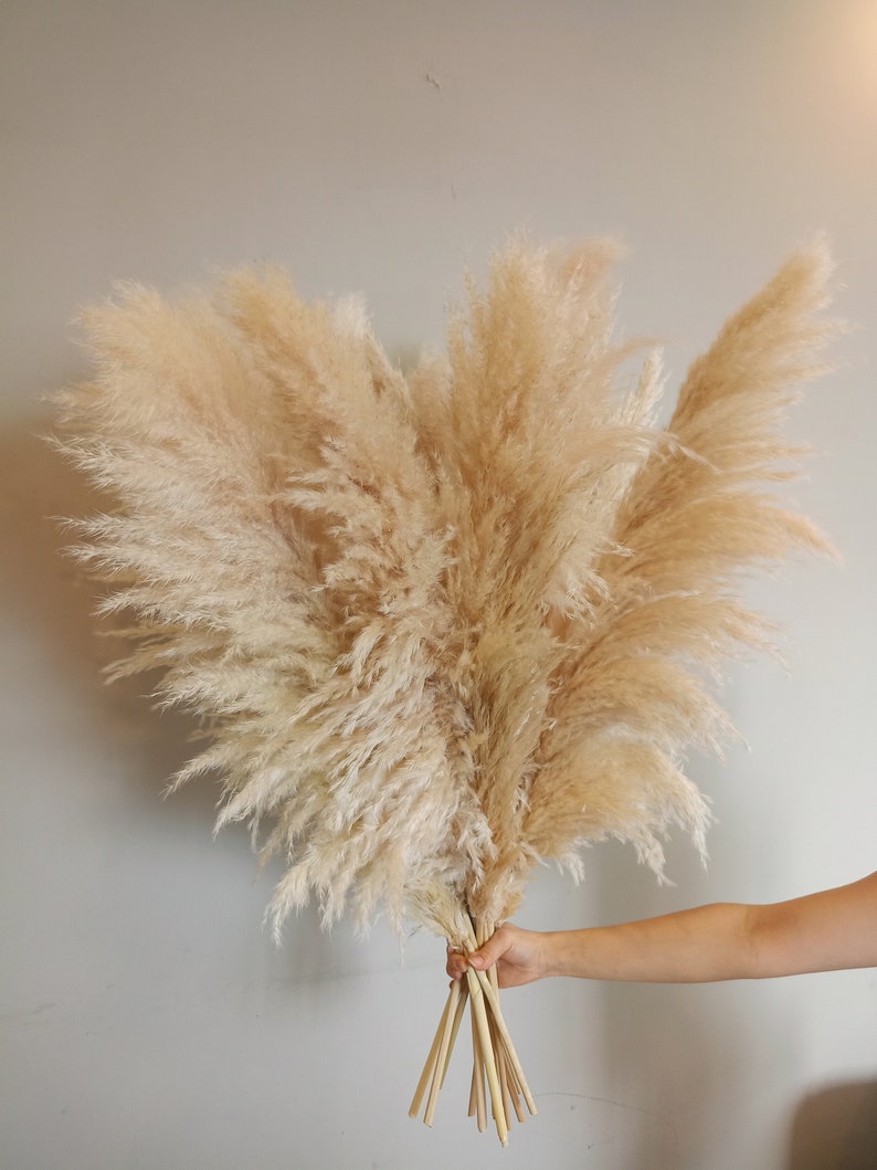 XXL TALL PAMPAS Grass 1-1,5m Großer Verkauf Boho Wohndekor Hochzeitsdekorationen Pampas Blumenstrauß Blumenarrangement Boho Hochzeit Bild 6