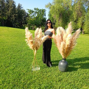 XXL TALL PAMPAS Grass 1-1,5m Großer Verkauf Boho Wohndekor Hochzeitsdekorationen Pampas Blumenstrauß Blumenarrangement Boho Hochzeit Bild 3